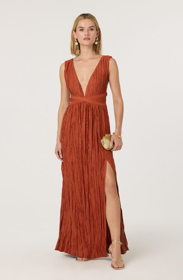 Tesni Pleated Maxi Dress - Image 13