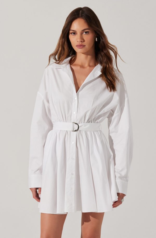Winica Poplin Mini Dress - Image 2