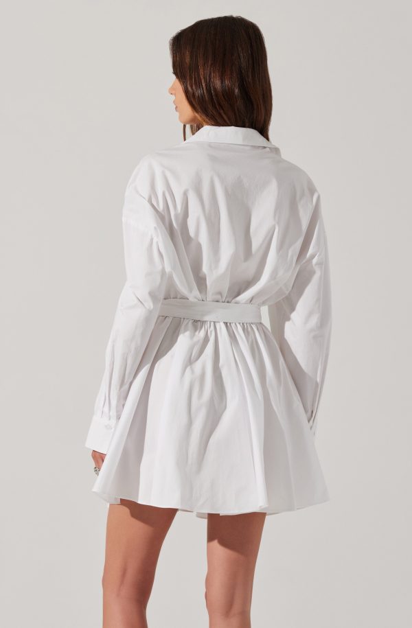 Winica Poplin Mini Dress - Image 4