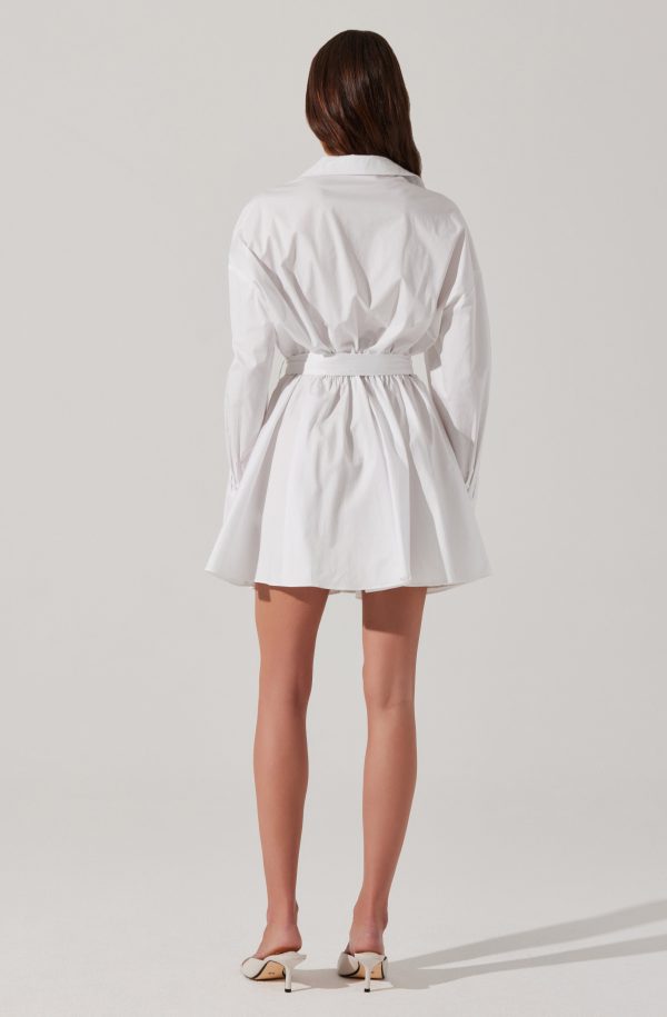 Winica Poplin Mini Dress - Image 5