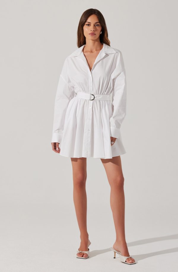 Winica Poplin Mini Dress - Image 3