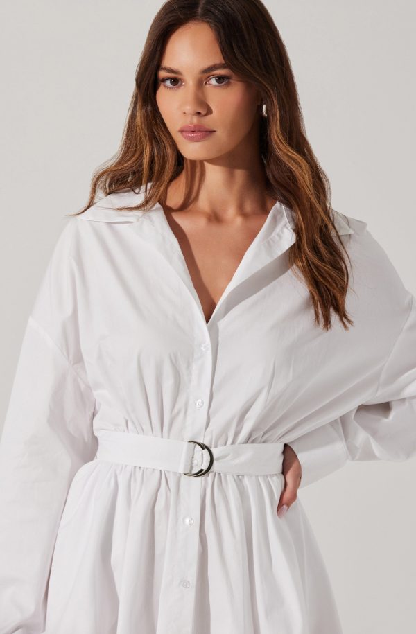 Winica Poplin Mini Dress - Image 6