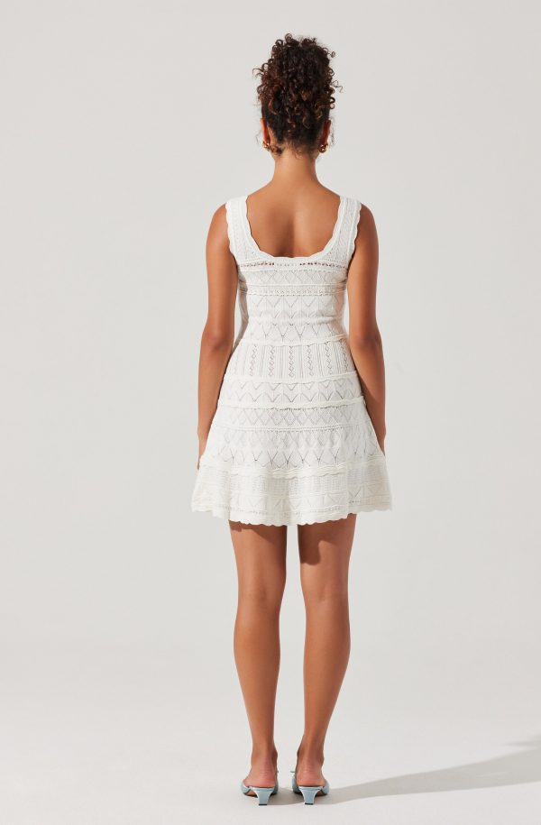 Shereena Pointelle Sweater Mini Dress - Image 4