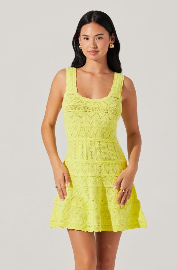 Shereena Pointelle Sweater Mini Dress - Image 7