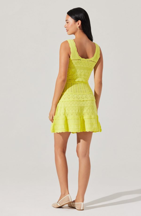 Shereena Pointelle Sweater Mini Dress - Image 10