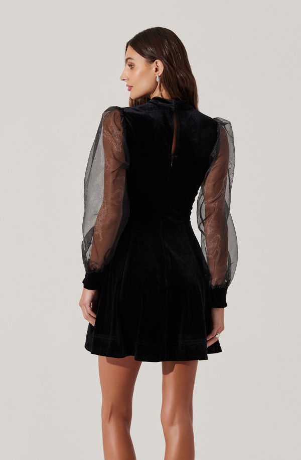 Velvet Sheer Puff Sleeve Dress - Image 4