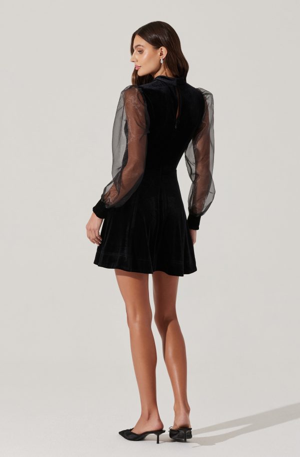 Velvet Sheer Puff Sleeve Dress - Image 5