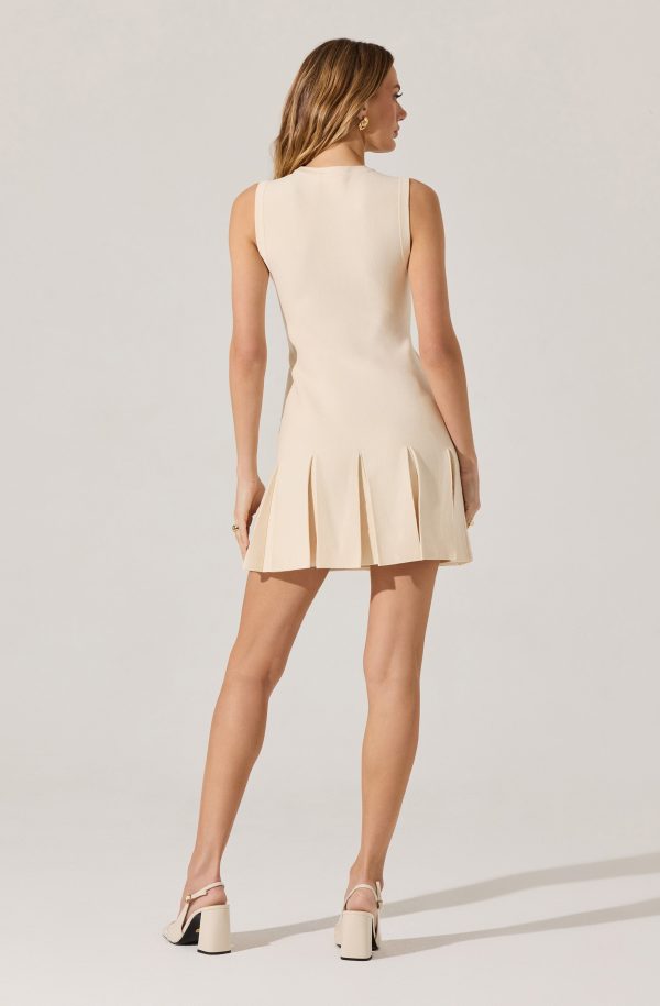 Sleeveless Pleated Skirt Mini Dress - Image 11