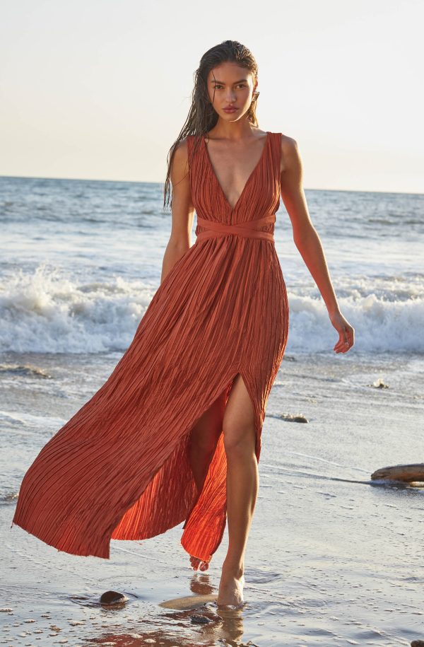 Tesni Pleated Maxi Dress - Image 18